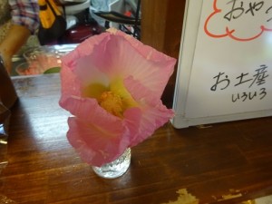 すいふよう夕方